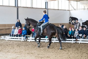 Bild 27 - Voltigierturnier